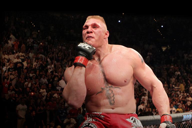 How many UFC fights does Brock Lesnar have?