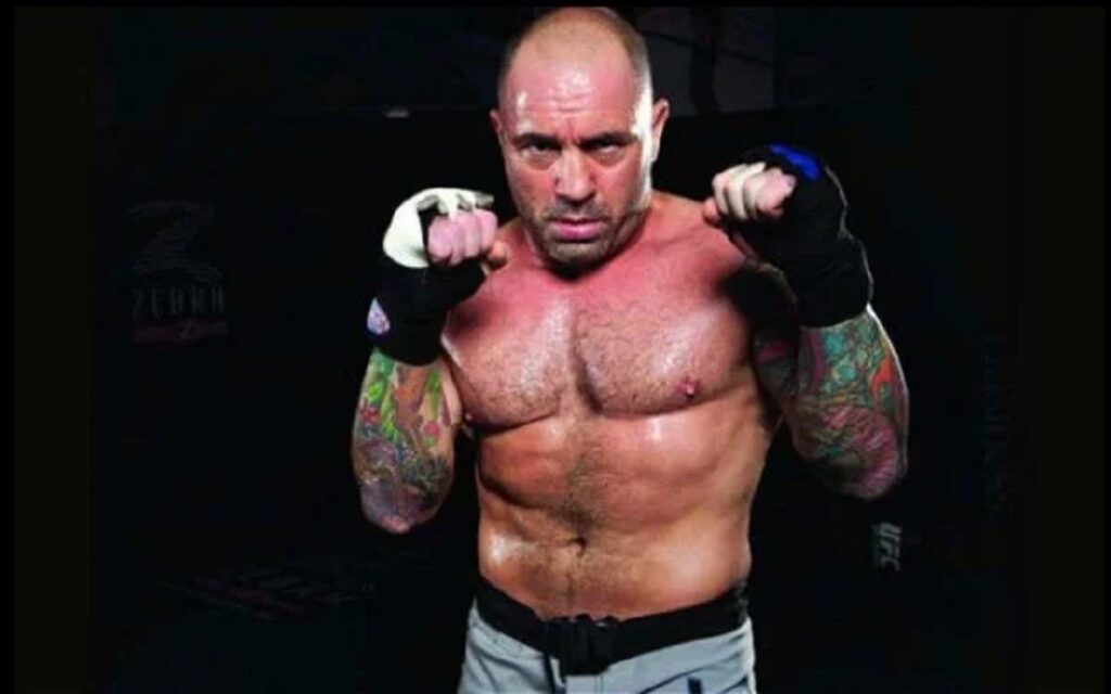 Did UFC commentator Joe Rogan fight professionally?