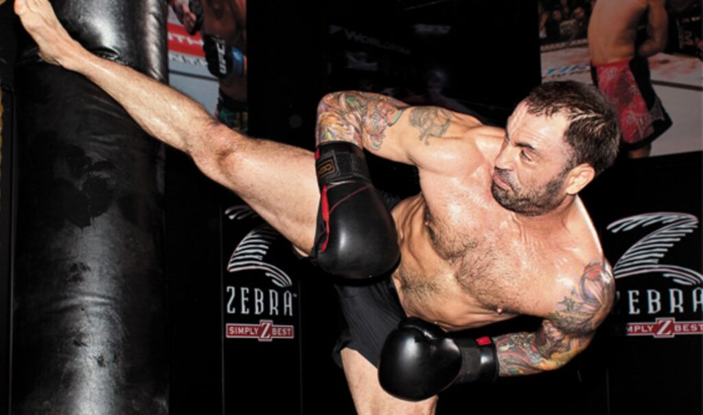 Joe Rogan's Martial Arts Background: All the details