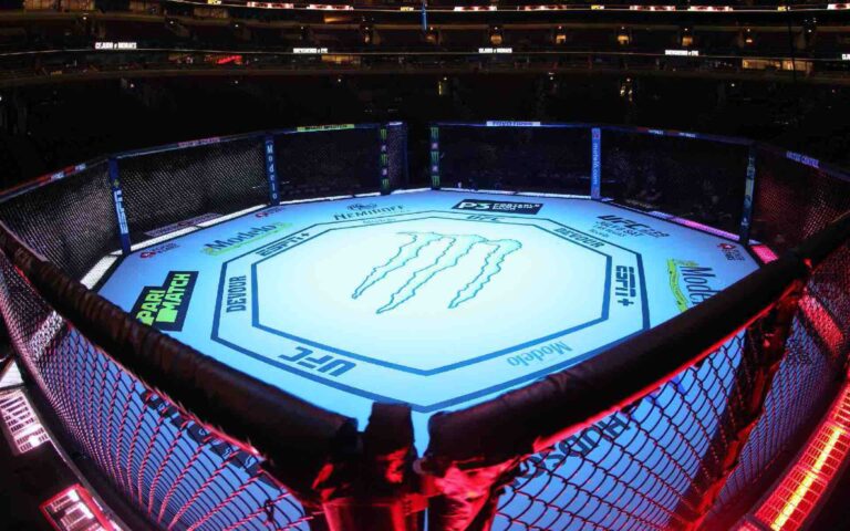 UFC Octagon