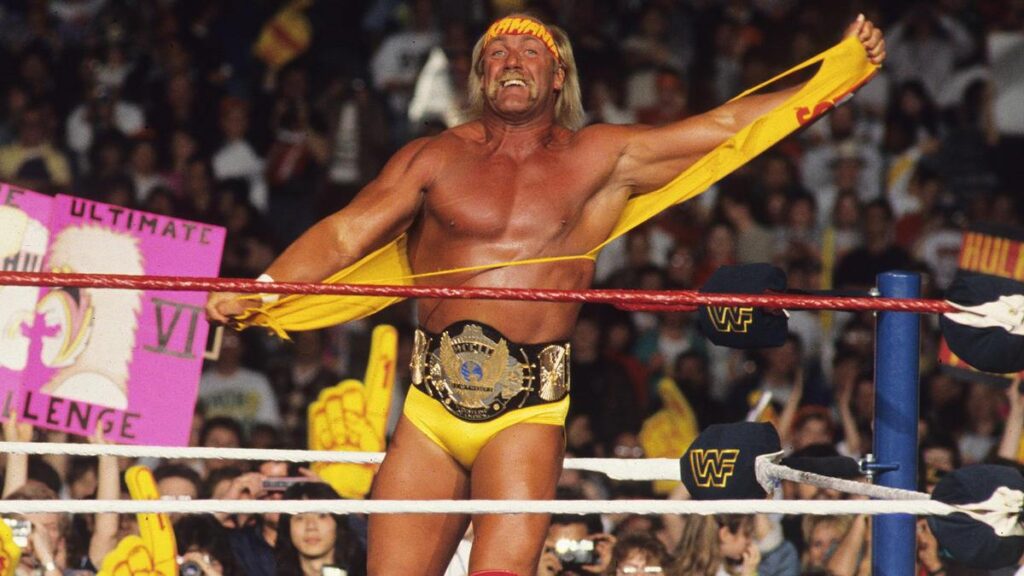 Hulk Hogan Earning
