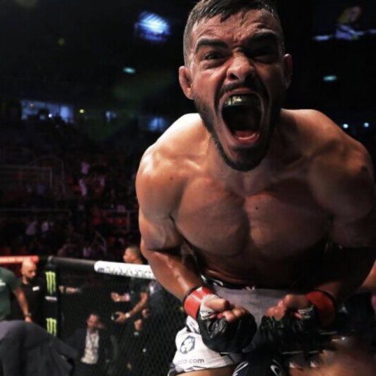 Ismael Bonfim vs Vinc Pichel