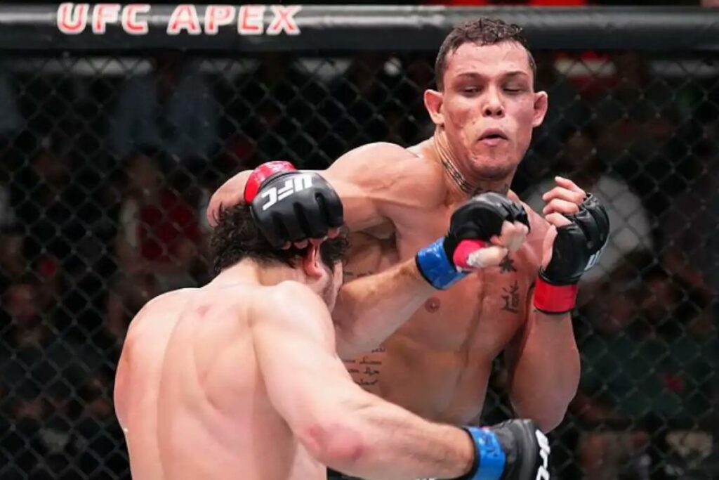 Caio Borralho vs Abus Magomedov
